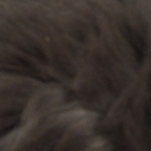 Meet your Posher, Dylan